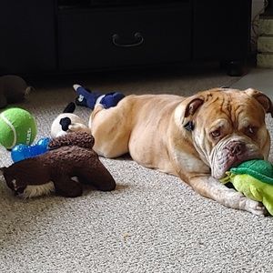 Meet your Posher, Sylvie